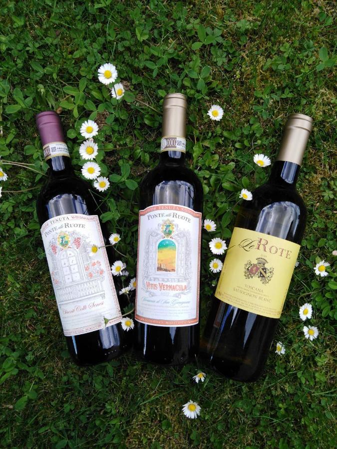 Agriturismo Le Rote Villa San Gimignano Eksteriør billede
